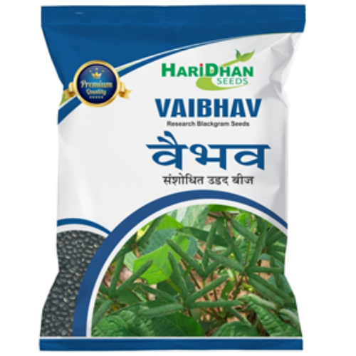 Untitled design - 2021-12-10T133201.179